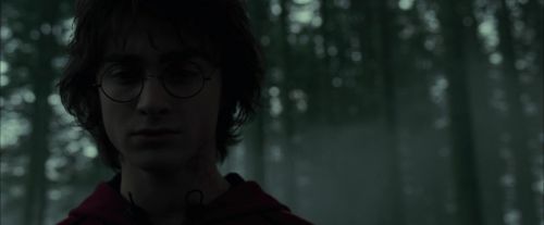 CdF-Potterish_6443.jpg