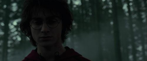 Click to view full size image
==============
CdF-Potterish_6444.jpg CdF-Potterish_6444.jpg