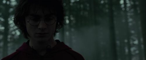 Click to view full size image
==============
CdF-Potterish_6445.jpg CdF-Potterish_6445.jpg