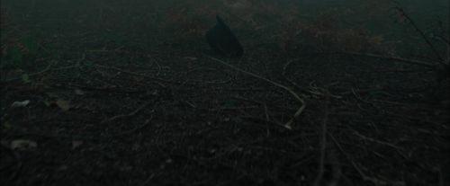 Click to view full size image
==============
CdF-Potterish_6446.jpg CdF-Potterish_6446.jpg