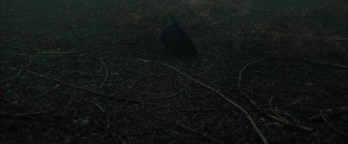 CdF-Potterish_6447.jpg