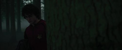 Click to view full size image
==============
CdF-Potterish_6451.jpg CdF-Potterish_6451.jpg