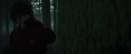 Click to view full size image
==============
CdF-Potterish_6452.jpg CdF-Potterish_6452.jpg