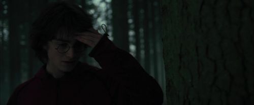 CdF-Potterish_6455.jpg