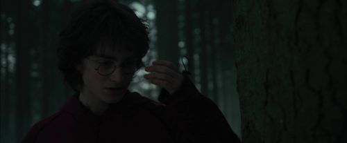 CdF-Potterish_6456.jpg