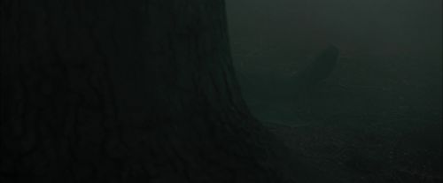 CdF-Potterish_6457.jpg