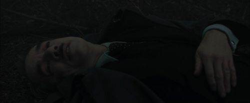 CdF-Potterish_6464.jpg