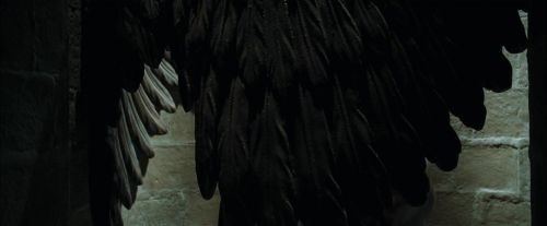 Click to view full size image
==============
CdF-Potterish_6467.jpg CdF-Potterish_6467.jpg