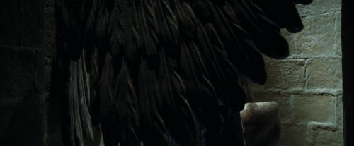 Click to view full size image
==============
CdF-Potterish_6468.jpg CdF-Potterish_6468.jpg
