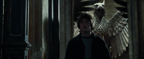 Click to view full size image
==============
CdF-Potterish_6508.jpg CdF-Potterish_6508.jpg