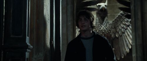 CdF-Potterish_6509.jpg