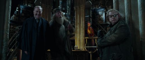 CdF-Potterish_6510.jpg