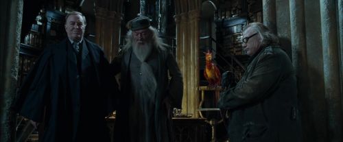 CdF-Potterish_6512.jpg