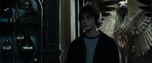 Click to view full size image
==============
CdF-Potterish_6517.jpg CdF-Potterish_6517.jpg