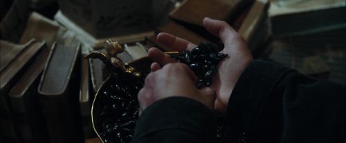 Click to view full size image
==============
CdF-Potterish_6553.jpg CdF-Potterish_6553.jpg