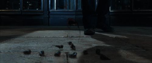 CdF-Potterish_6562.jpg