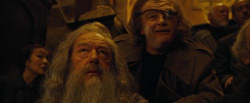 CdF-Potterish_6679.jpg