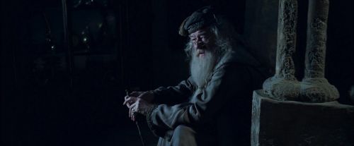 CdF-Potterish_6847.jpg