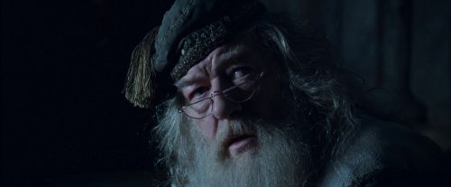 CdF-Potterish_6863.jpg