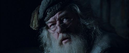 CdF-Potterish_6866.jpg