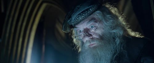 CdF-Potterish_6895.jpg