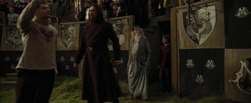 CdF-Potterish_7056.jpg