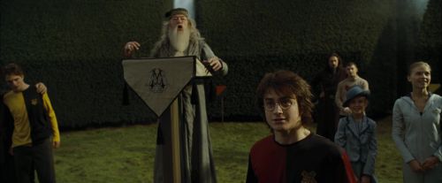 Click to view full size image
==============
CdF-Potterish_7073.jpg CdF-Potterish_7073.jpg