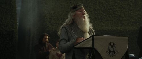 CdF-Potterish_7084.jpg