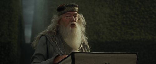 CdF-Potterish_7101.jpg