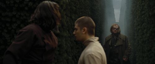 CdF-Potterish_7108.jpg