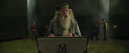CdF-Potterish_7120.jpg