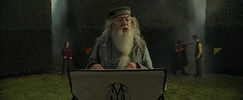 CdF-Potterish_7121.jpg