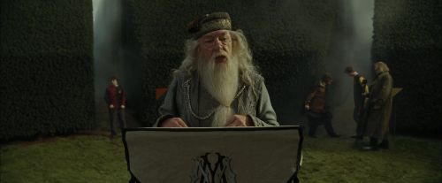 CdF-Potterish_7123.jpg