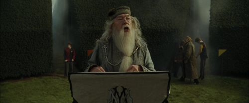 CdF-Potterish_7124.jpg