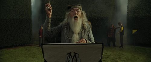 CdF-Potterish_7126.jpg