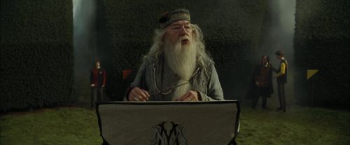 CdF-Potterish_7127.jpg