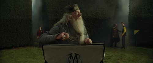 CdF-Potterish_7128.jpg