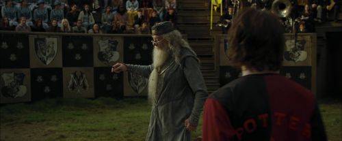 CdF-Potterish_7132.jpg
