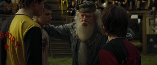 Click to view full size image
==============
CdF-Potterish_7143.jpg CdF-Potterish_7143.jpg