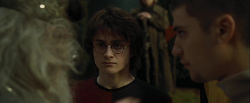 Click to view full size image
==============
CdF-Potterish_7155.jpg CdF-Potterish_7155.jpg
