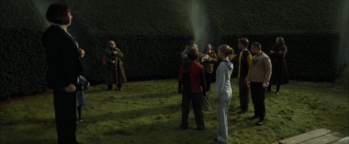 Click to view full size image
==============
CdF-Potterish_7158.jpg CdF-Potterish_7158.jpg