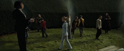 Click to view full size image
==============
CdF-Potterish_7161.jpg CdF-Potterish_7161.jpg