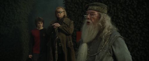 CdF-Potterish_7177.jpg