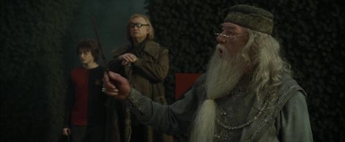 CdF-Potterish_7178.jpg