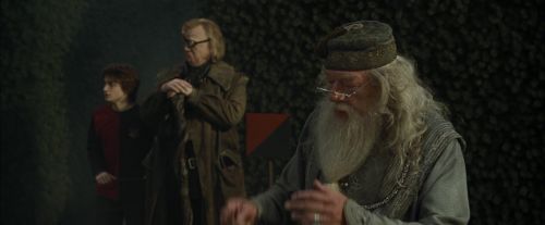 CdF-Potterish_7181.jpg