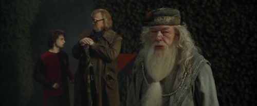 Click to view full size image
==============
CdF-Potterish_7182.jpg CdF-Potterish_7182.jpg