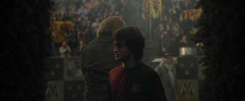 Click to view full size image
==============
CdF-Potterish_7188.jpg CdF-Potterish_7188.jpg