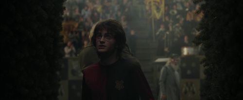 CdF-Potterish_7189.jpg