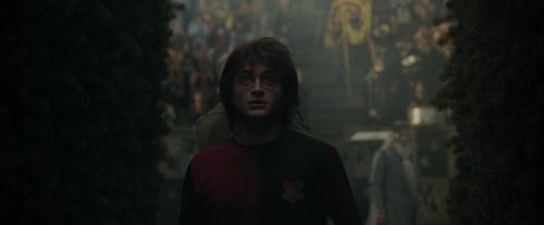CdF-Potterish_7190.jpg
