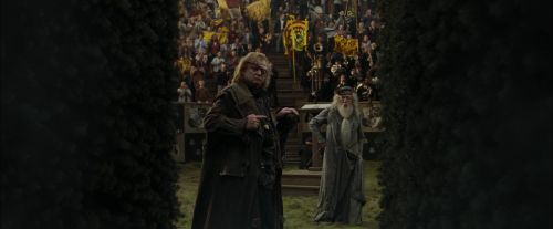 Click to view full size image
==============
CdF-Potterish_7196.jpg CdF-Potterish_7196.jpg